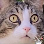 Ben Slingerland - Facebook Profile Picture of Ben Slingerland (@Ben-Slingerland) on Facebook