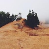 Profile Picture of JeffRunyon5802 (@@jeffrunyon5802) on Tiktok