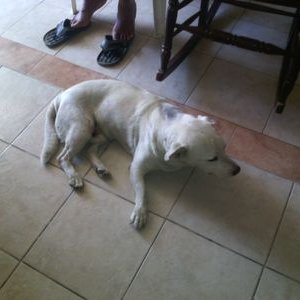 Profile Picture of Andres Cabal (@Andrescabal6) on Twitter