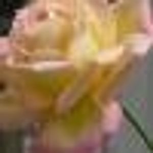 Profile Picture of Debra Rhoads (@104953141) on Myspace