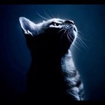 Profile Picture of Alexander Milaszenko (@alexmila) on Instagram