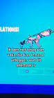 Profile Picture of   ruben_on_de_kerstman... (@fortnitertje008) on Tiktok
