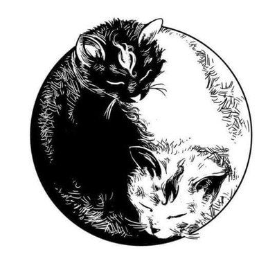 Profile Picture of David Lundin (@Davidlundin9) on Twitter