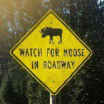 Profile Picture of Jerry Slater (@jerry1633) on Instagram