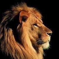 Profile Picture of Rev. James Pridgen (@fearlessministy) on Twitter