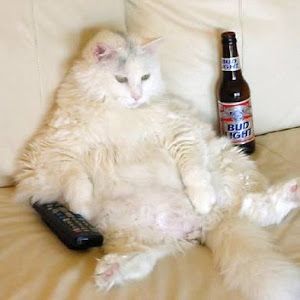 Profile Picture of John McCree (@johnmccree1) on Tiktok