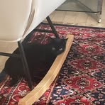 Ibtisam Alsaedi - Facebook Profile Picture of Ibtisam Alsaedi (@Ibtisam-Alsaedi) on Facebook