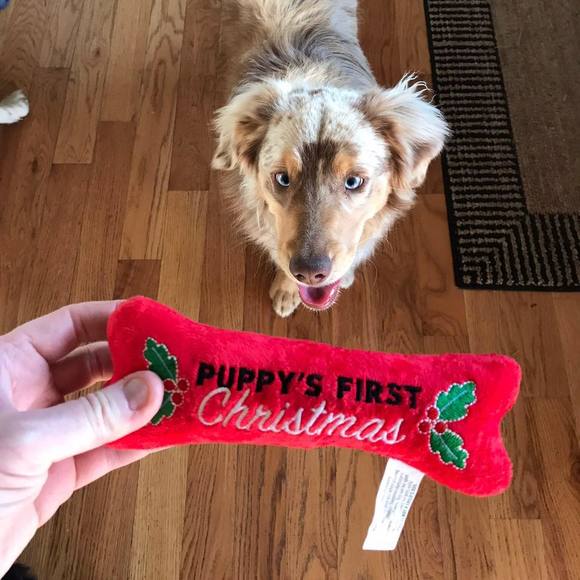 Profile Picture of Kevin Saunders (@kevin_saunders) on Poshmark