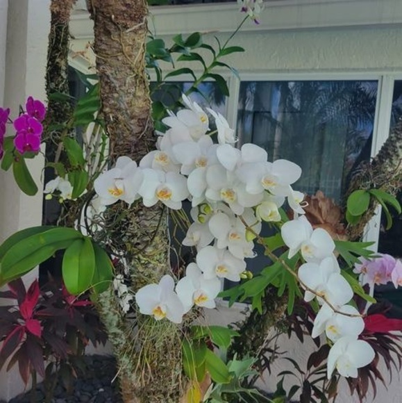 Profile Picture of Raquel Assis (@raquelassis2010) on Poshmark