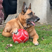 Profile Picture of Marcel Berg, Van Den (@Soundwhizz) on Youtube