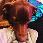 Profile Picture of Alysia wallace (@alysia8278) on Instagram