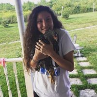 Profile Picture of Allison Congelli (@allison-congelli-1) on Quora