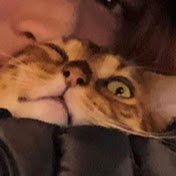 Profile Picture of Alexandra Lester (@alexandralester4704) on Youtube