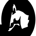 Christopher Timson - Instagram Profile Picture of Christopher Timson (@foxphotography2018) on Instagram