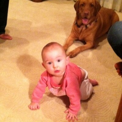 Profile Picture of Robert C. Jacoby (@Jobiro2) on Twitter