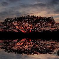 Profile Picture of Jeff Ricketts (@jeff-ricketts-10) on Quora