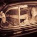 Profile Picture of Tess Felix Greene (@tessfelixgreene) on Pinterest