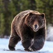 Profile Picture of Andrew Niven (@marlingski) on Twitter