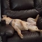 Profile Picture of John Klein (@johnnyriverklein) on Instagram