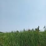 Profile Picture of Daniel Netherland (@Daniel-Netherland) on Facebook