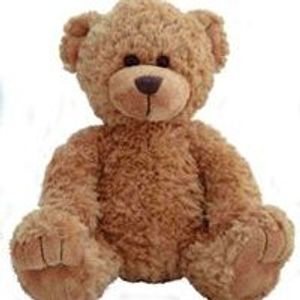 Profile Picture of Ted D. Bear (@ted.d.bear) on Myspace