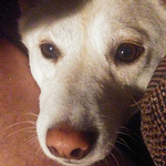 Profile Picture of Latvian98 (@Latvian98) on Flickr