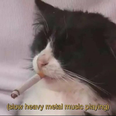 Profile Picture of Dylan Haigh (@dylan_haigh) on Twitter