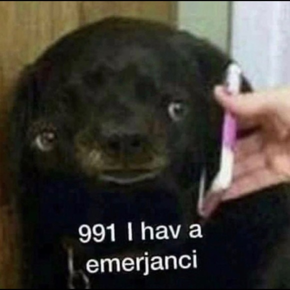 Profile Picture of Sabah Hashmi (@bronxchildsh) on Poshmark