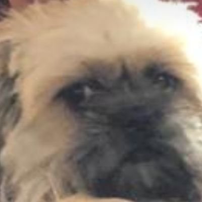 Profile Picture of Jhon Connor (@me_gusta_Ariana) on Twitter