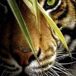Profile Picture of Ken Alarcon (@ken.alarcon.169) on Instagram