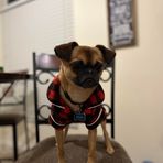 Profile Picture of Sean Stcyr (@sean.stcyr.144) on Facebook