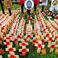 Profile Picture of Matt Bosley (@MattBosley6) on Twitter