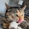 Profile Picture of kaitlynpearsonn (@@kaitlynpearsonn) on Tiktok