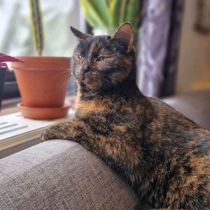 Profile Picture of Lia❤️ (@elisabethhansson0) on Tiktok