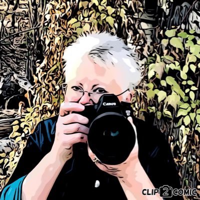 Profile Photo of Donna (@LachDonna) on Twitter