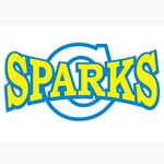 Profile Picture of CHEER&DANCE team CrystalSparks (@_crystalsparks) on Instagram