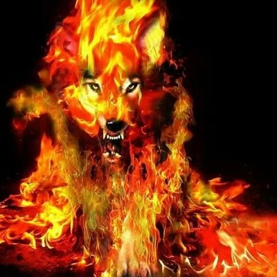 Profile Picture of Jamie Dill (@Furrylife20) on Twitter