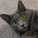 Profile Picture of Sethikus (@sethikus) on Flickr