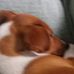 Profile Picture of Jacqueline Pulley (@jacqueline.pulley.7) on Facebook