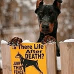 Profile Picture of Michael Kicker (@michael.kicker.14) on Facebook