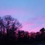 Profile Picture of Joe Toscano (@joe.toscano.608075) on Facebook