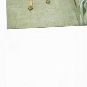 Profile Picture of Nancy Schaefer (@129681882) on Myspace