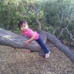 Profile Picture of Isauro Lopez (@lopezisauro81) on Instagram