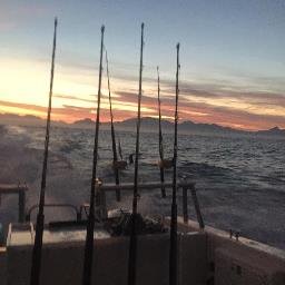 Profile Picture of Matthew Strunk (@TightLines1991) on Twitter