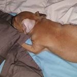 Profile Picture of Jesse Hartmann (@jesse.hartmann.927) on Instagram
