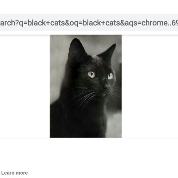Profile Picture of Darlene Springall (@dspringall) on Poshmark