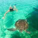 Profile Picture of Cameron Saffell Bourne (@camstagram_it) on Instagram