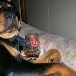 Profile Picture of Robert McNamara (@robert.mcnamara.904) on Instagram