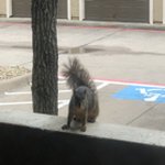 Profile Picture of James Sling (@instaomorfee) on Instagram