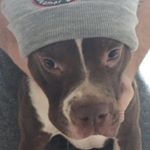 Profile Picture of Mike Stanford Campos Rubin (@mike.rednose) on Instagram